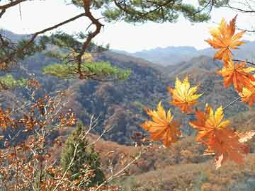 四平市人事局最新项目概览与动态