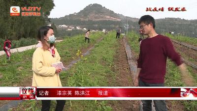 铜鼓县人力资源和社会保障局最新项目概览与动态