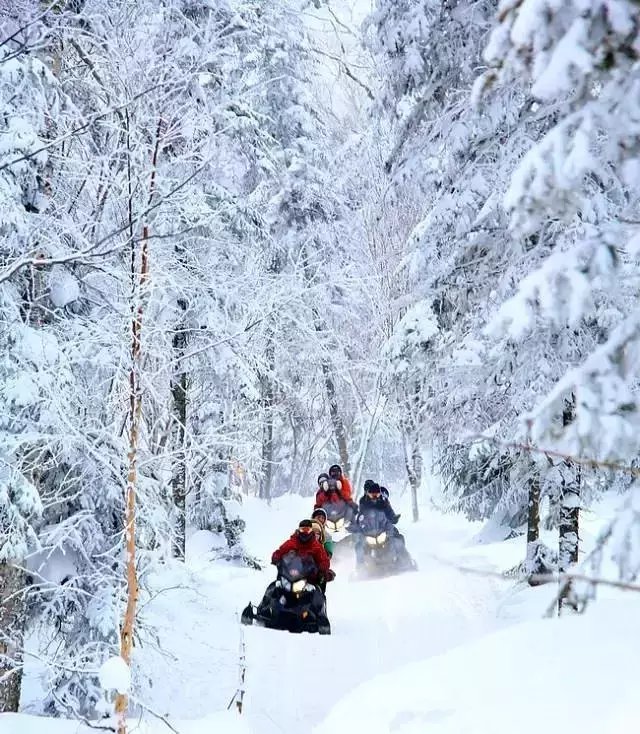 扎雪乡交通全面升级，游客出行更便捷，最新交通新闻概述