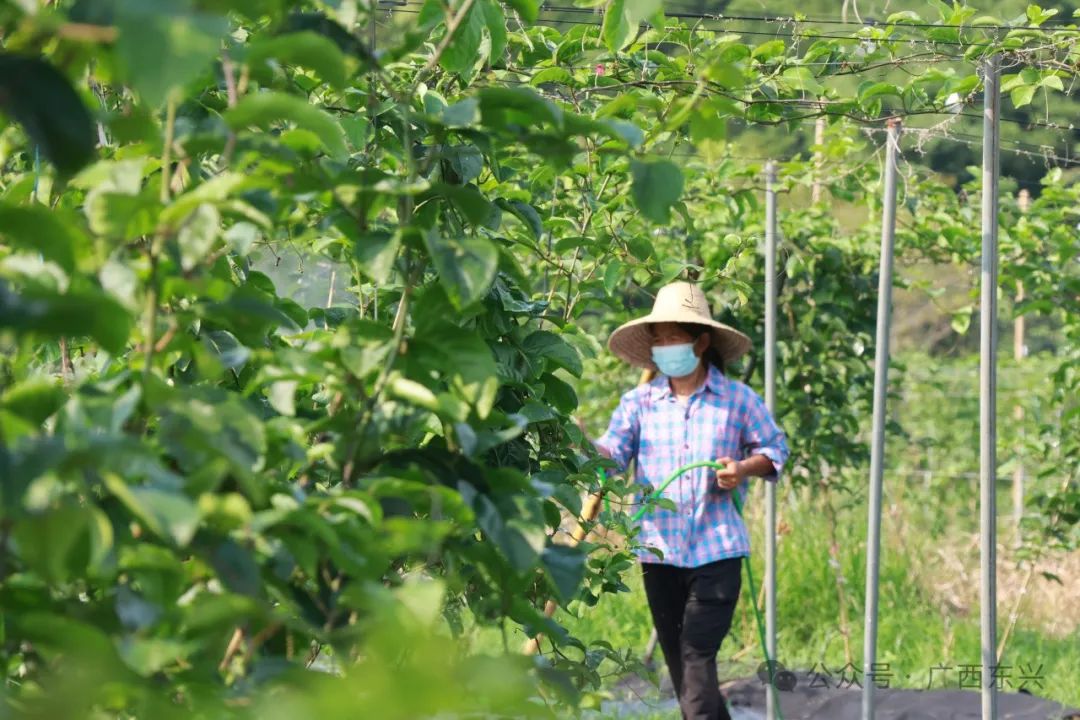 江平镇最新项目，地区发展的强大引擎驱动力