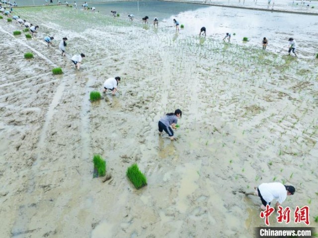 绥阳县初中最新资讯速递