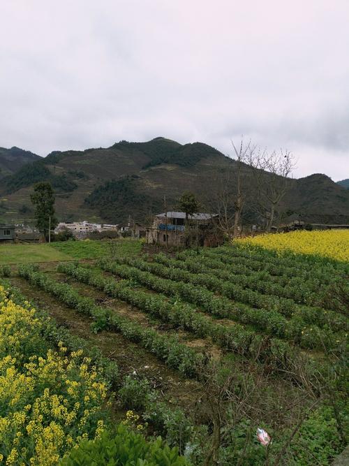 百禄镇天气预报更新通知