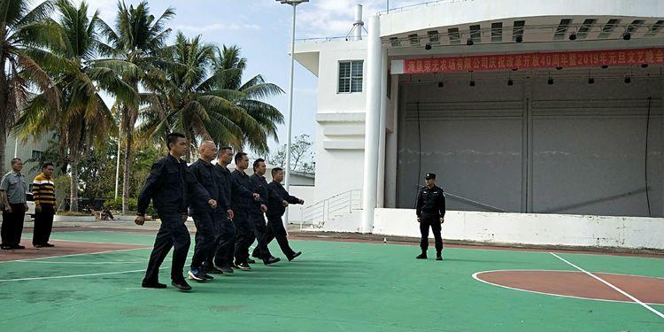 乐东黎族自治县公路运输管理事业单位最新项目深度研究分析