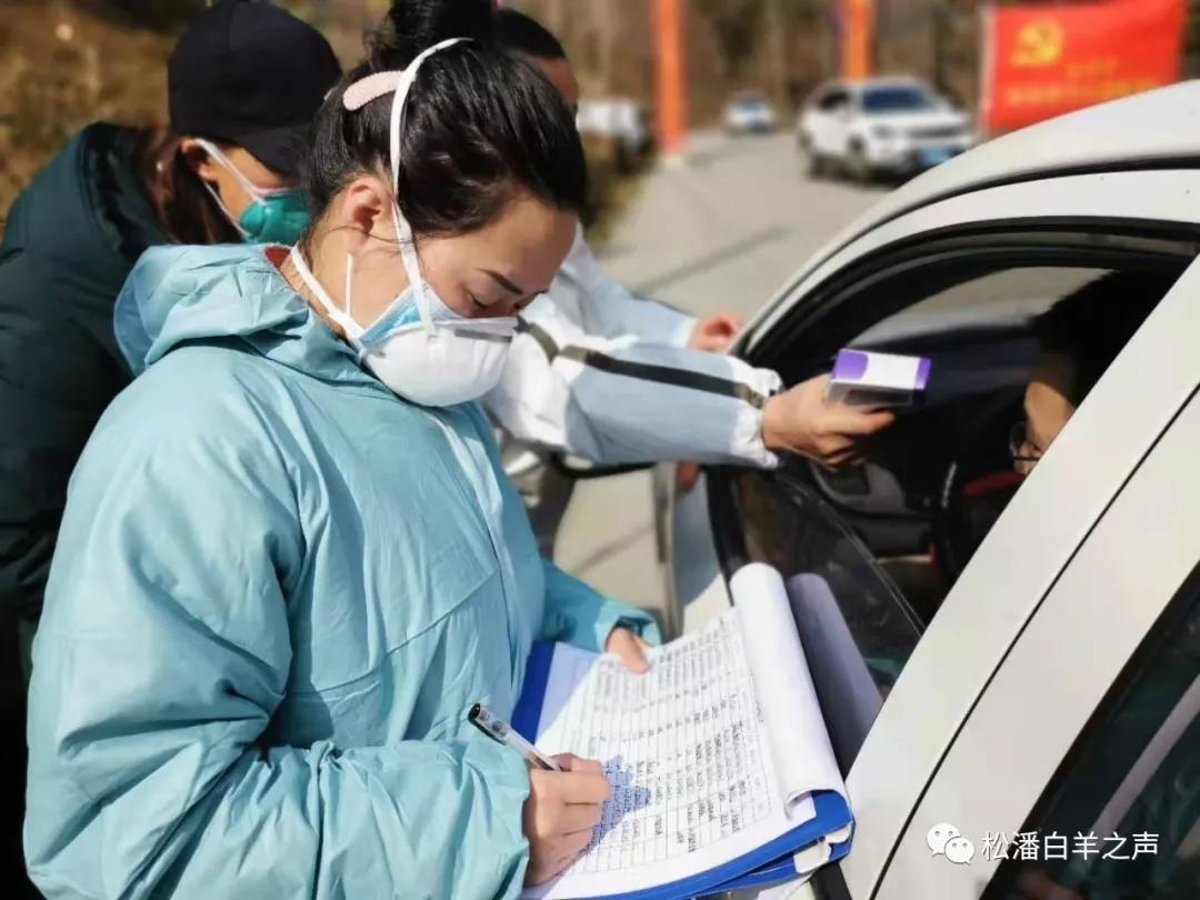 友邻乡最新交通动态，迈向更便捷的未来