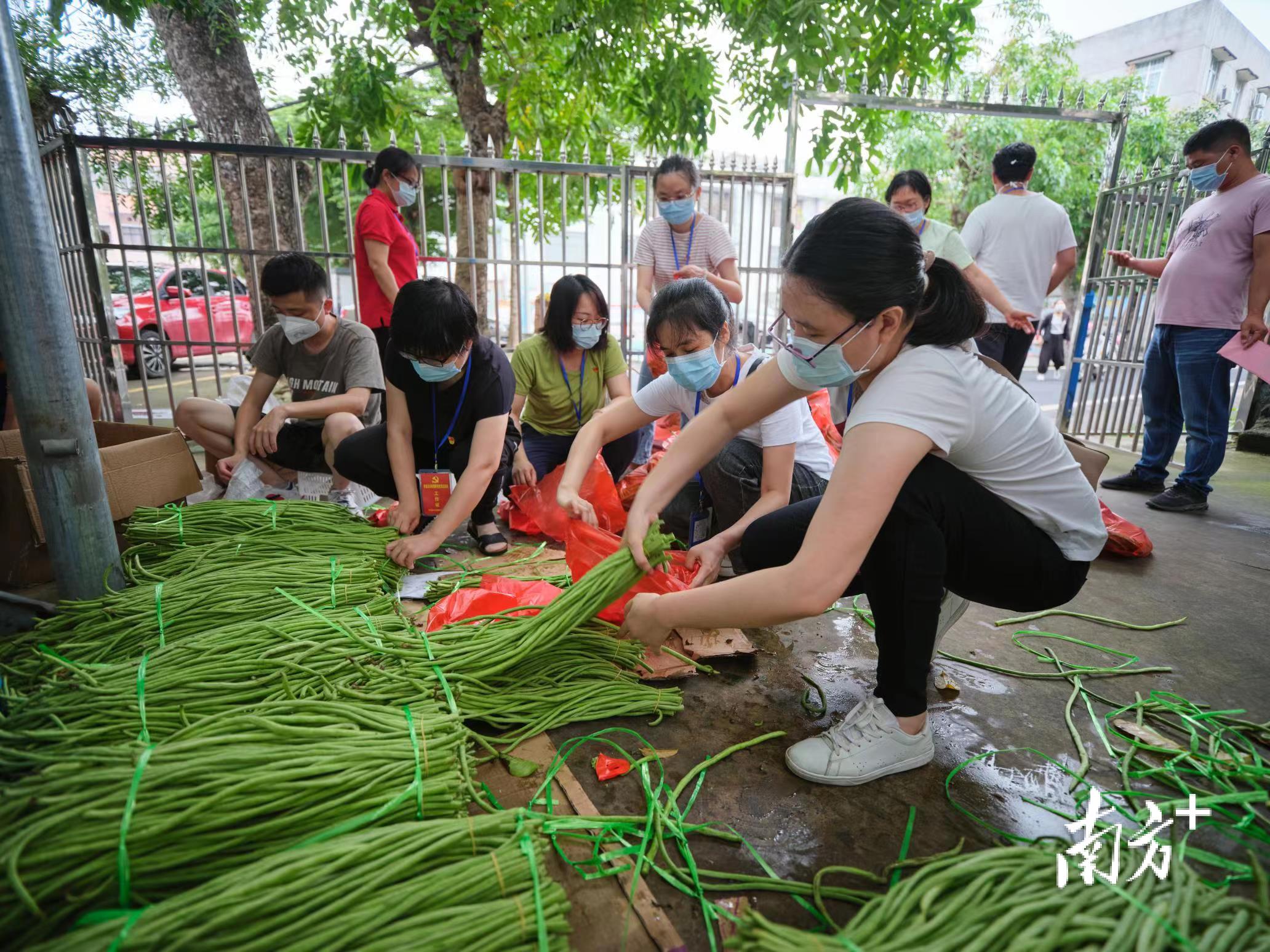 东海县防疫检疫站最新动态报道