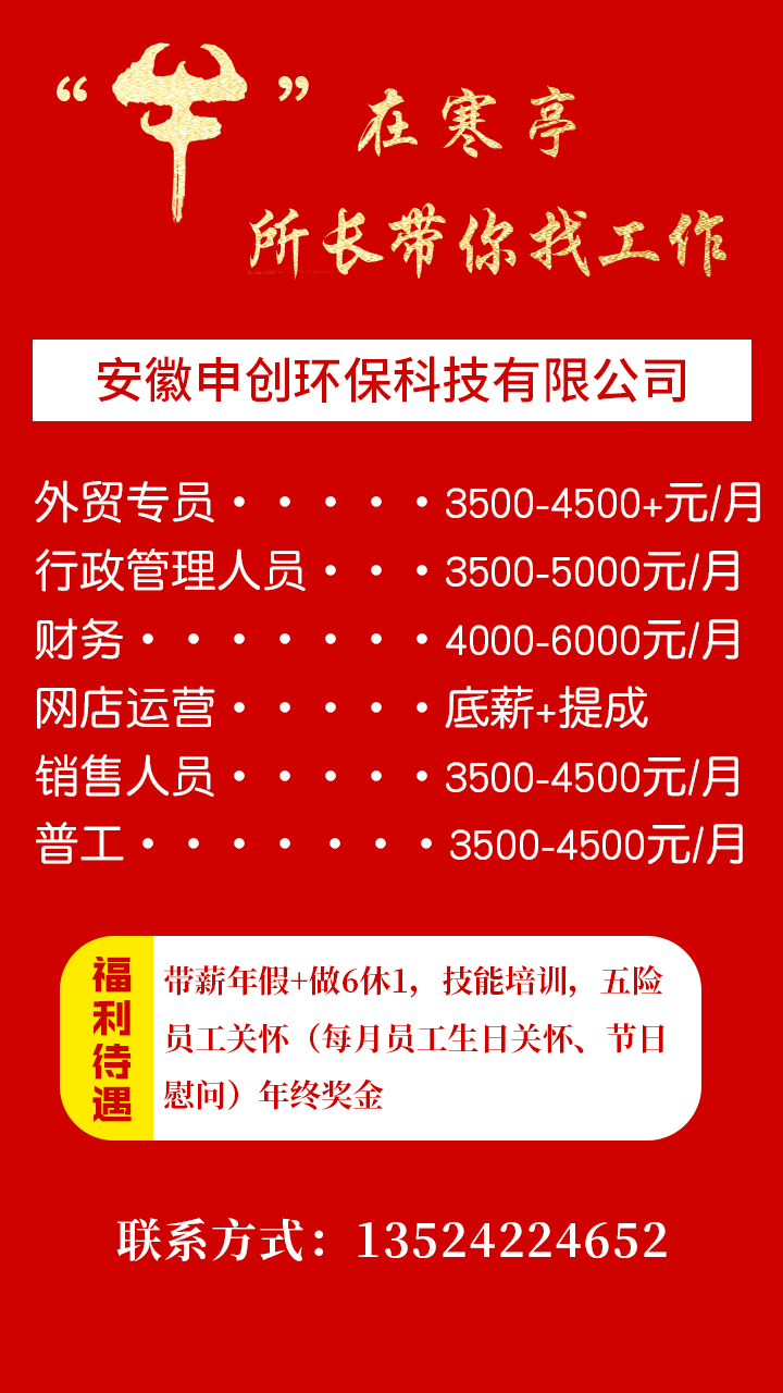 寒亭区科技局最新招聘信息与职位详解概览