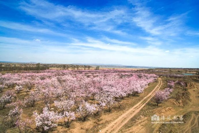 大同县峰峪乡项目最新进展与未来前景展望