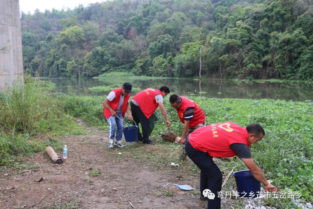 五岔路乡新项目，乡村发展的强大引擎驱动力