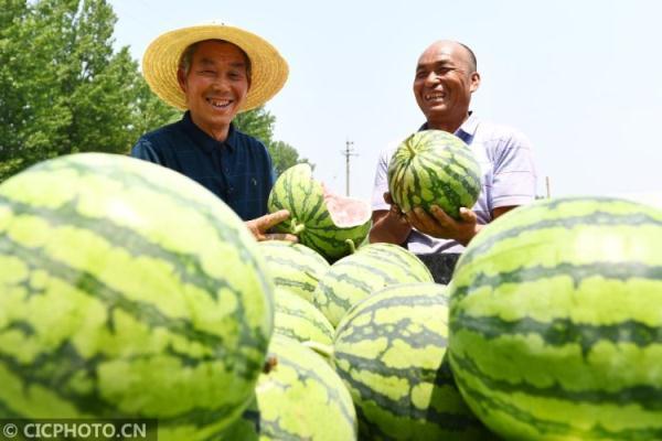 业庙乡新领导团队引领下的新气象展望