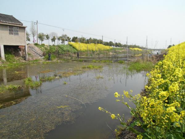 河沟村民委员会天气预报及影响深度解析