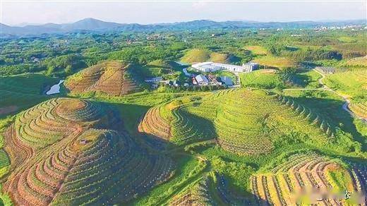 防城区华石镇新项目，地区发展的强大驱动力