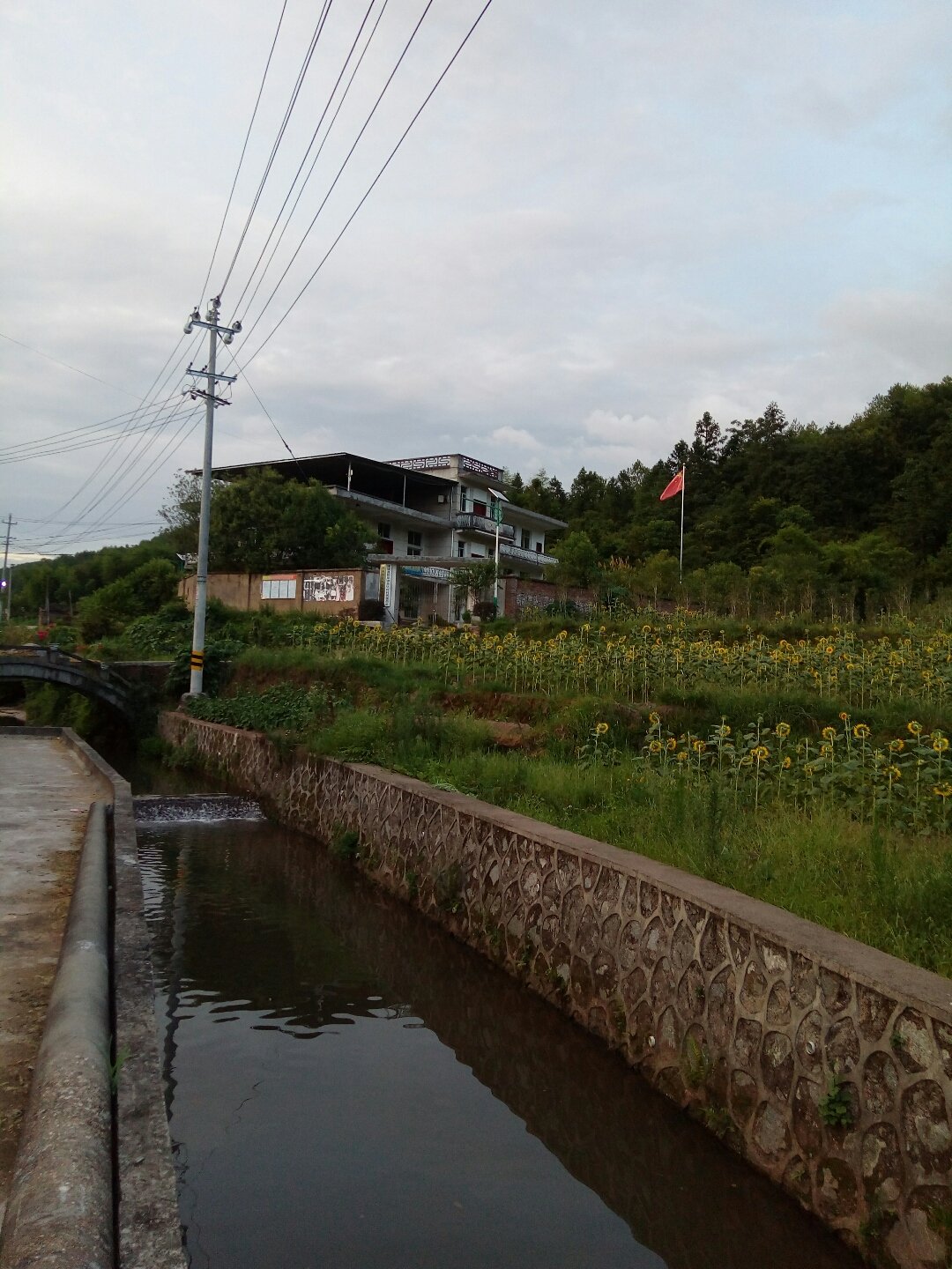 涛源乡天气预报更新通知